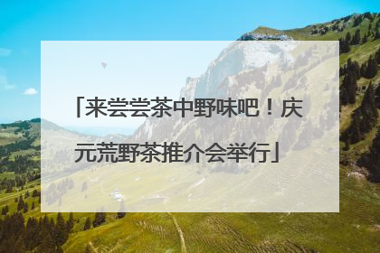 来尝尝茶中野味吧！庆元荒野茶推介会举行