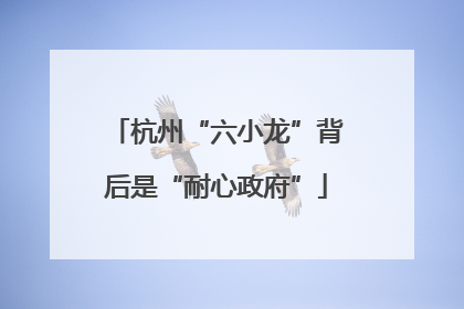 杭州“六小龙”背后是“耐心政府”