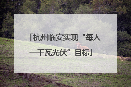 杭州临安实现“每人一千瓦光伏”目标