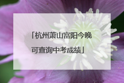杭州萧山富阳今晚可查询中考成绩