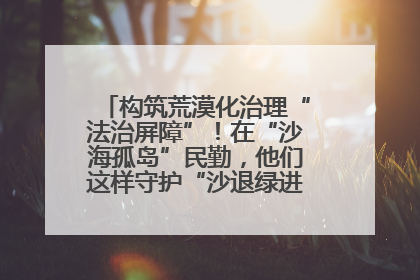 构筑荒漠化治理“法治屏障”！在“沙海孤岛”民勤，他们这样守护“沙退绿进”的生态奇迹
