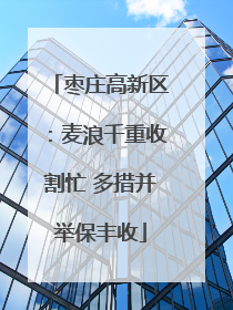 枣庄高新区：麦浪千重收割忙 多措并举保丰收