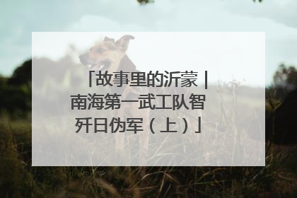 故事里的沂蒙｜南海第一武工队智歼日伪军（上）