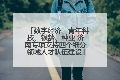 数字经济、青年科技、银龄、种业 济南专项支持四个细分领域人才队伍建设