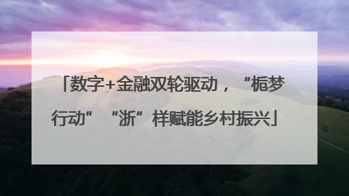 数字+金融双轮驱动，“栀梦行动”“浙”样赋能乡村振兴