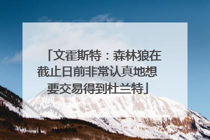 文霍斯特：森林狼在截止日前非常认真地想要交易得到杜兰特