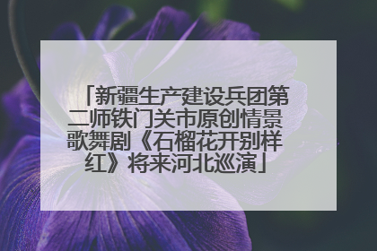 新疆生产建设兵团第二师铁门关市原创情景歌舞剧《石榴花开别样红》将来河北巡演