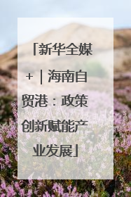 新华全媒+｜海南自贸港：政策创新赋能产业发展
