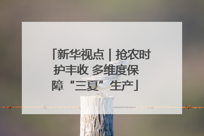 新华视点｜抢农时 护丰收 多维度保障“三夏”生产