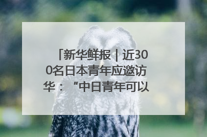 新华鲜报｜近300名日本青年应邀访华：“中日青年可以创造更好的未来”
