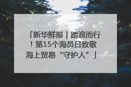 新华鲜报｜踏浪而行！第15个海员日致敬海上贸易“守护人”