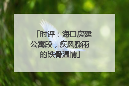 时评：海口房建公寓段，疾风骤雨的铁骨温情