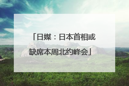日媒：日本首相或缺席本周北约峰会