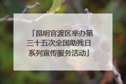 昆明官渡区举办第三十五次全国助残日系列宣传服务活动