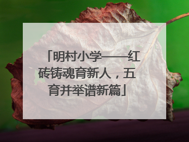 明村小学——红砖铸魂育新人，五育并举谱新篇