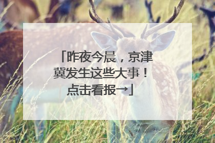 昨夜今晨，京津冀发生这些大事！点击看报→