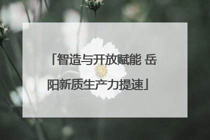 智造与开放赋能 岳阳新质生产力提速