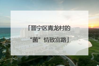 晋宁区青龙村的“菌”情致富路