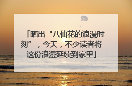 晒出“八仙花的浪漫时刻”，今天，不少读者将这份浪漫延续到家里