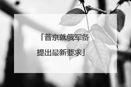 普京就俄军备提出最新要求
