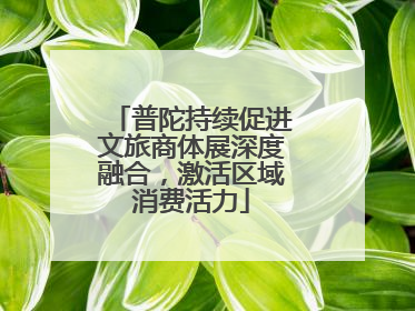 普陀持续促进文旅商体展深度融合，激活区域消费活力