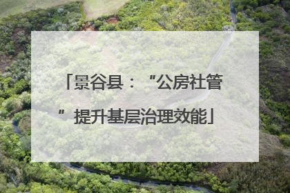 景谷县：“公房社管”提升基层治理效能