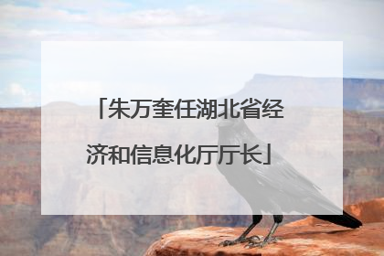 朱万奎任湖北省经济和信息化厅厅长