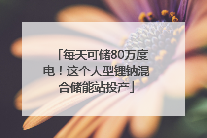 每天可储80万度电！这个大型锂钠混合储能站投产
