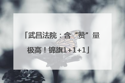 武昌法院：含“赞”量极高！锦旗1+1+1
