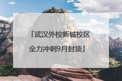 武汉外校新城校区全力冲刺9月封顶
