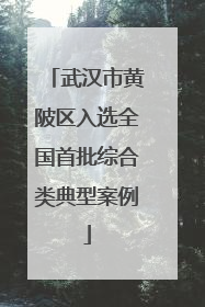 武汉市黄陂区入选全国首批综合类典型案例