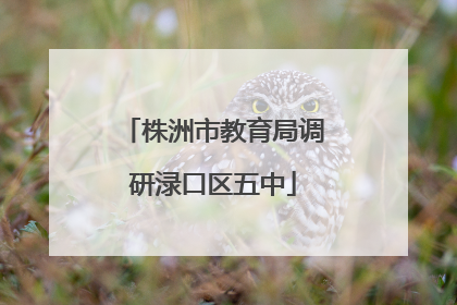 株洲市教育局调研渌口区五中