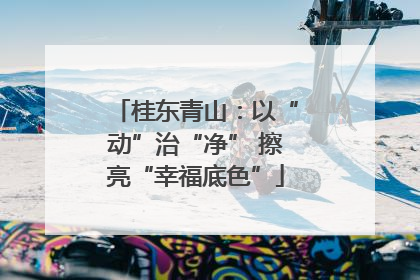 桂东青山：以“动”治“净” 擦亮“幸福底色”