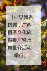 桂果飘香杭城，广西夏季文化旅游推广暨水果推介活动举行