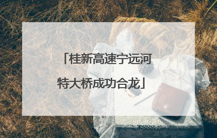 桂新高速宁远河特大桥成功合龙
