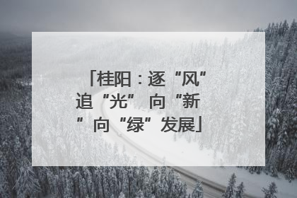 桂阳：逐“风”追“光” 向“新”向“绿”发展