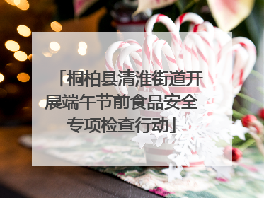 桐柏县清淮街道开展端午节前食品安全专项检查行动