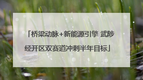 桥梁动脉+新能源引擎 武陟经开区双赛道冲刺半年目标