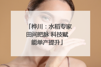 桦川：水稻专家田间把脉 科技赋能单产提升