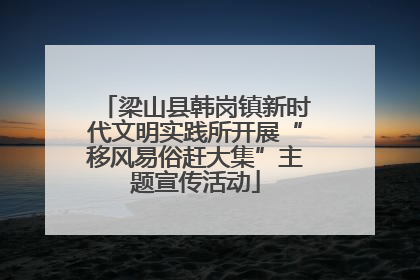 梁山县韩岗镇新时代文明实践所开展“移风易俗赶大集”主题宣传活动