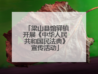 梁山县馆驿镇开展《中华人民共和国民法典》宣传活动