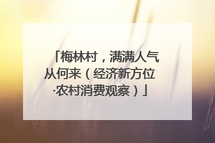 梅林村，满满人气从何来（经济新方位·农村消费观察）