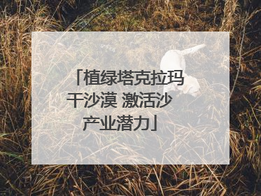 植绿塔克拉玛干沙漠 激活沙产业潜力