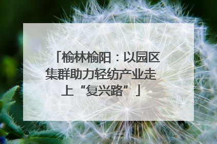 榆林榆阳：以园区集群助力轻纺产业走上“复兴路”