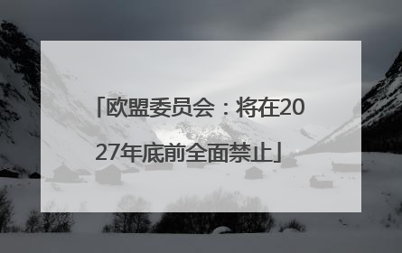 欧盟委员会：将在2027年底前全面禁止