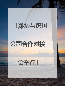 潍坊与跨国公司合作对接会举行