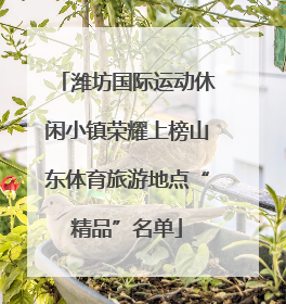 潍坊国际运动休闲小镇荣耀上榜山东体育旅游地点“精品”名单