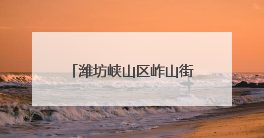 潍坊峡山区岞山街道：聚力集采谋发展 便民惠民办实事