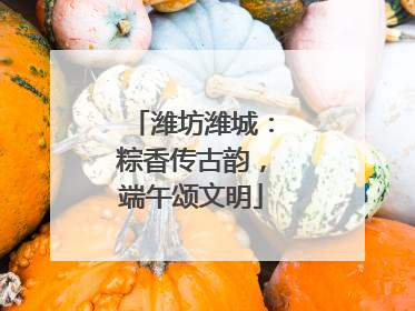 潍坊潍城：粽香传古韵，端午颂文明