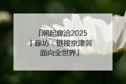 潮起廊洽2025丨廊坊：链接京津冀 面向全世界